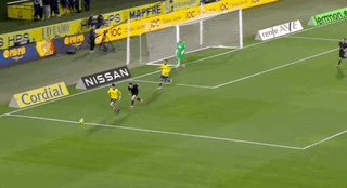 Feb-23-2025 07-04-09.gif